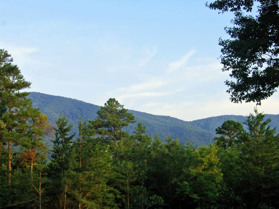 Breathe in the fresh mountain air and enjoy the view from the back porch.