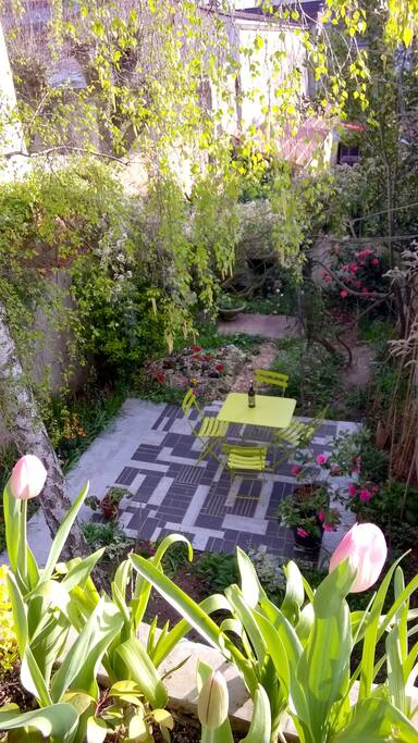 vue de ma cuisine au printemps