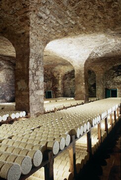 An expansive stone cave is filled with rows of cylindrical cheese wheels on wooden shelves. The arched ceiling and walls made of rough-hewn stone create a cool, damp atmosphere, while soft lighting highlights the creamy surfaces of the cheese as it ages.