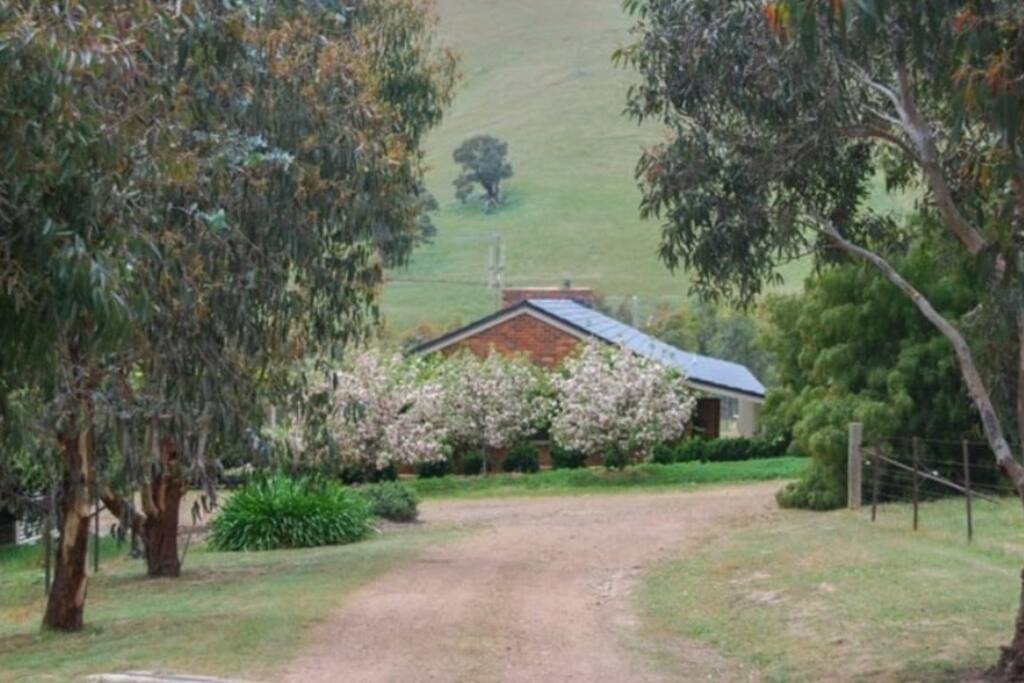 Entrance to property
