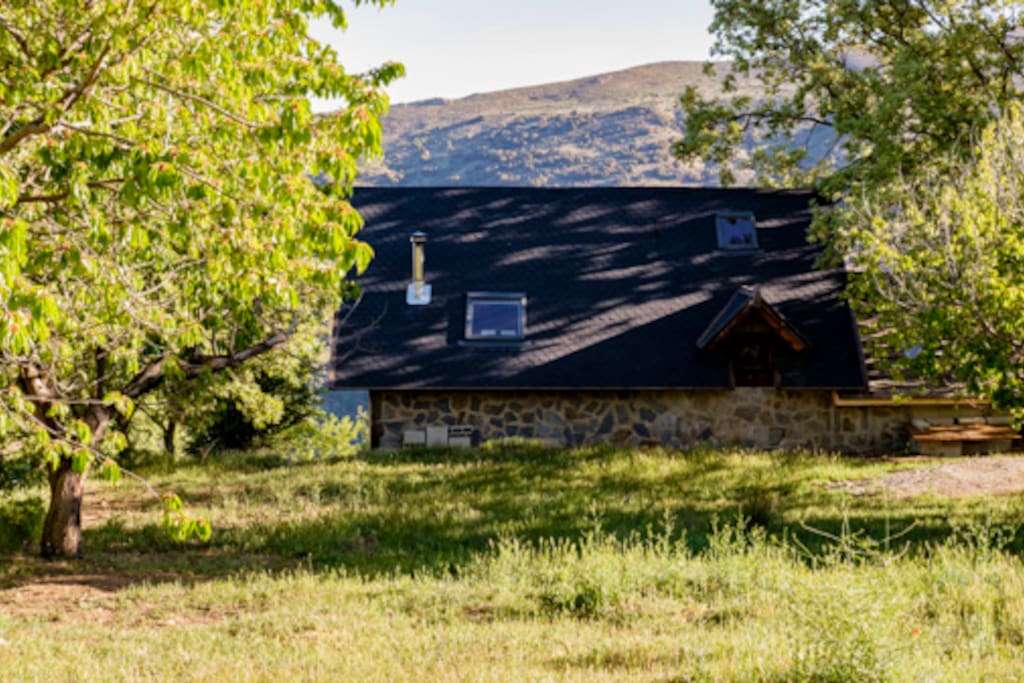 Back of cortijo