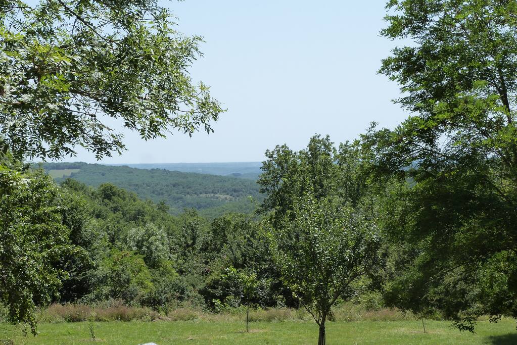 Vue depuis la propriété