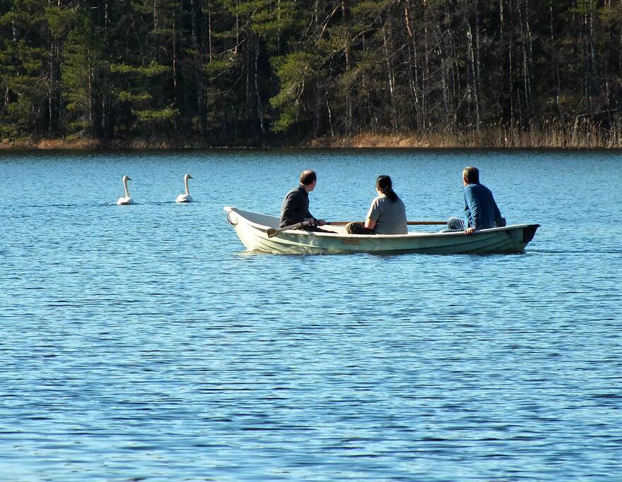 our lake and swans