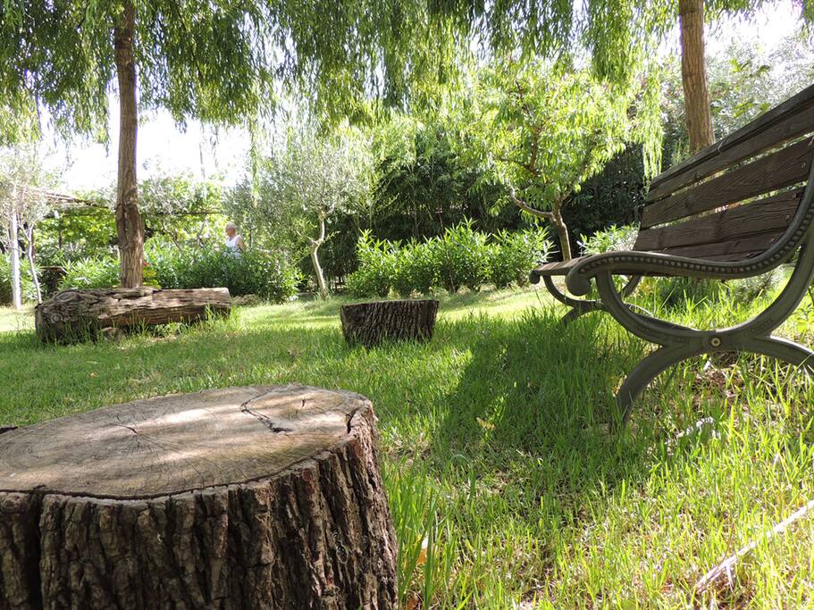 Zona Relax