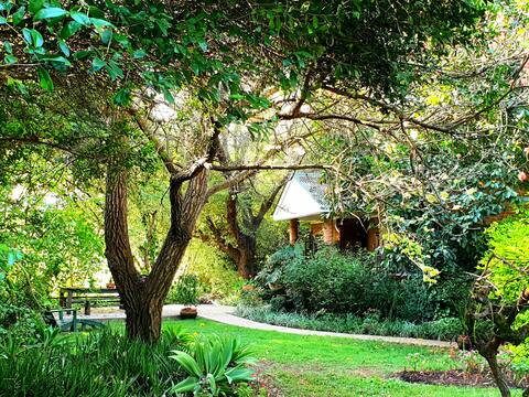 Get Close to Nature  - Bushbaby Cottage
