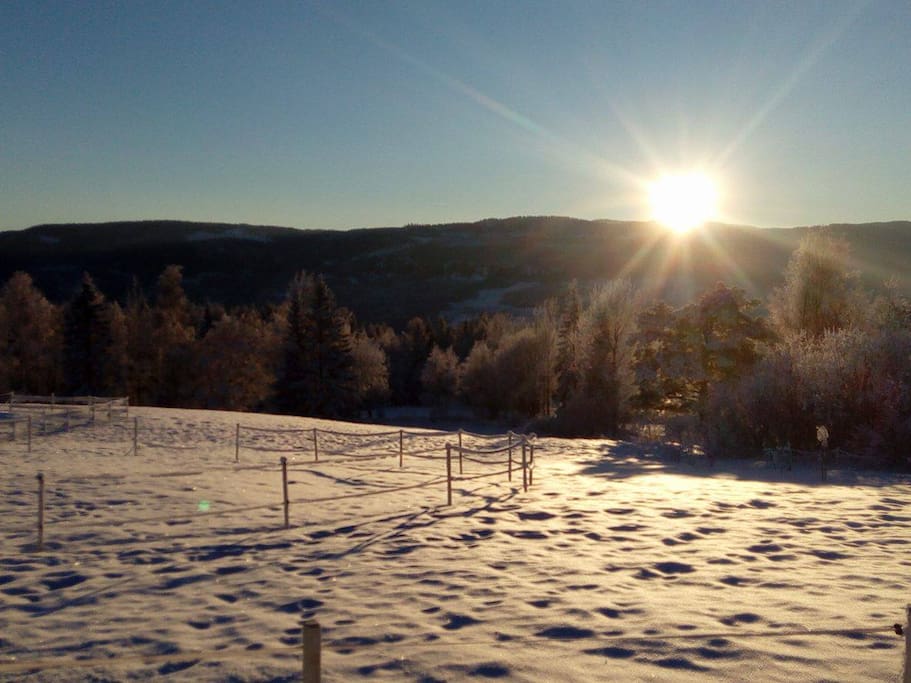 Grindaheim im Winter