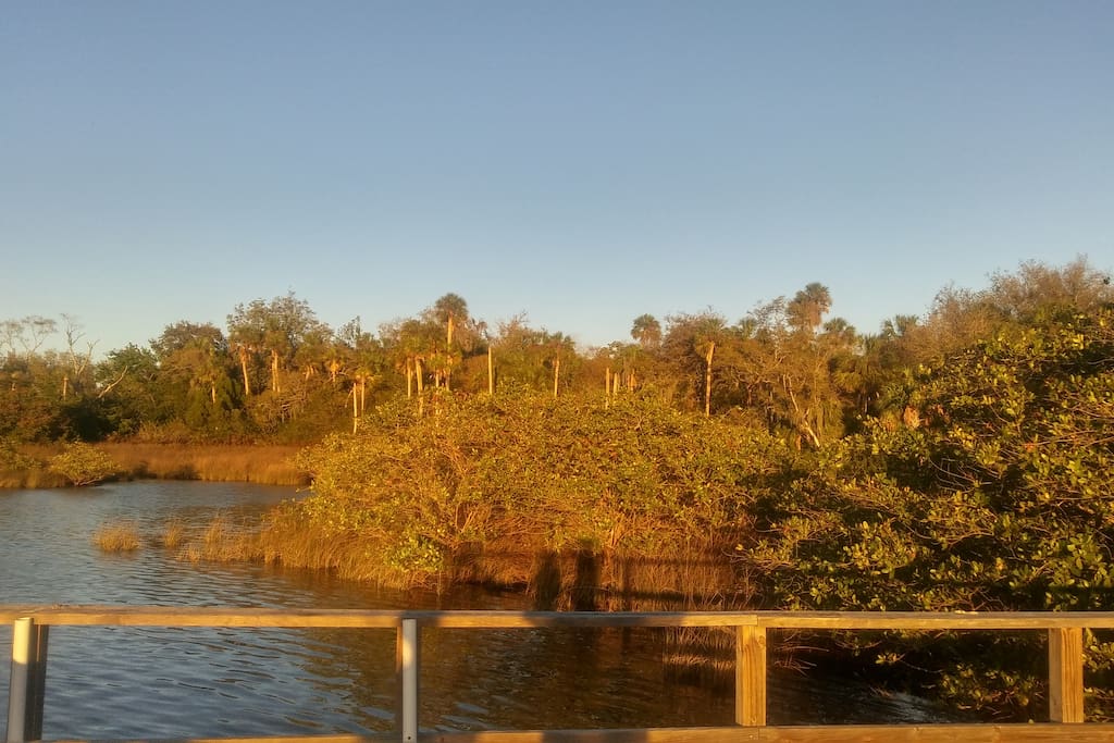 Jurassic Park from fishing dock: