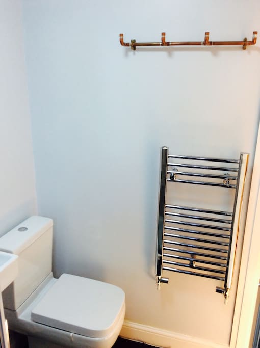 Space saving toilet and heated towel radiator