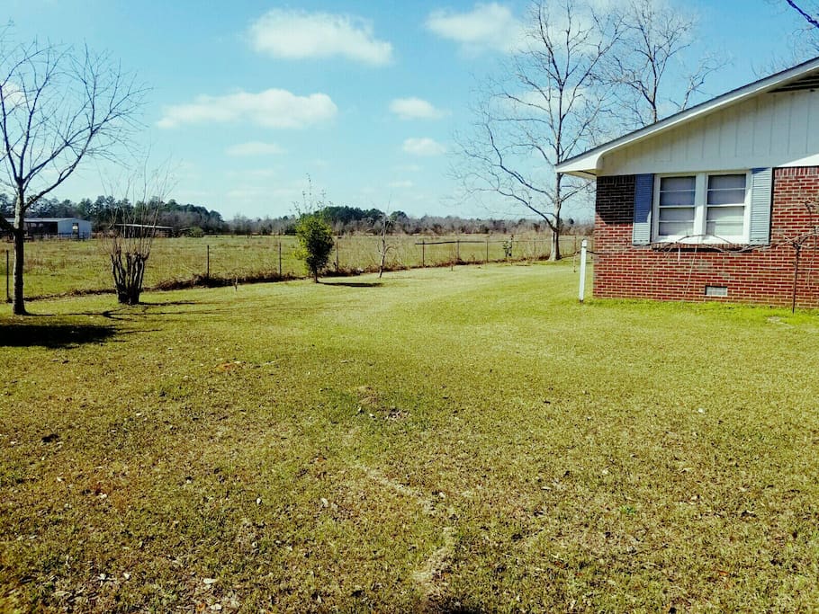 House close to pasture....
