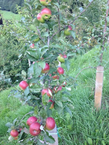 für Natur und Wanderfreunde