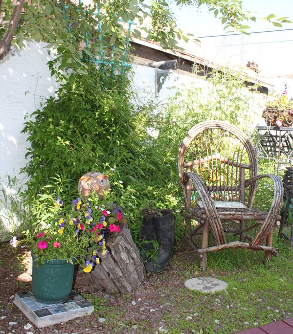 Back garden area