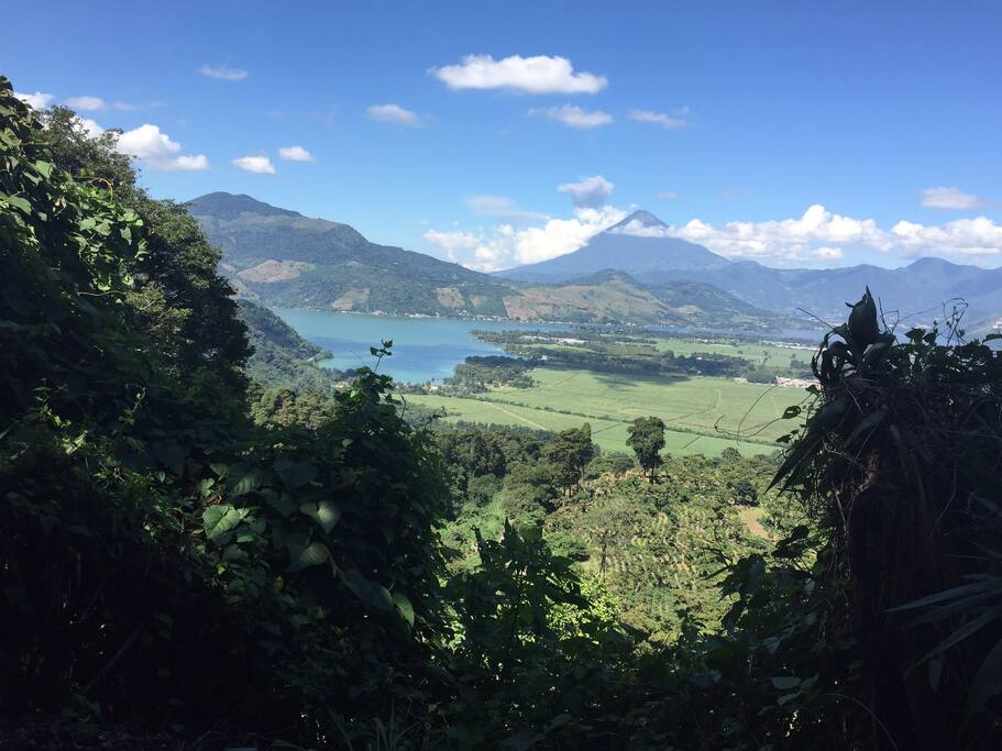 the view from the road