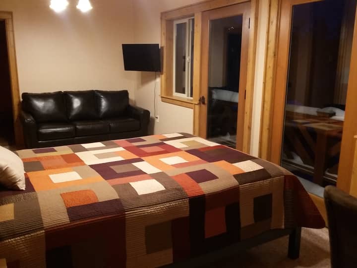 Guest Bedroom Queen Sleeper Sofa