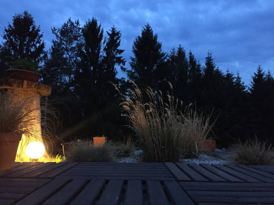 Le jardin au soir tombant