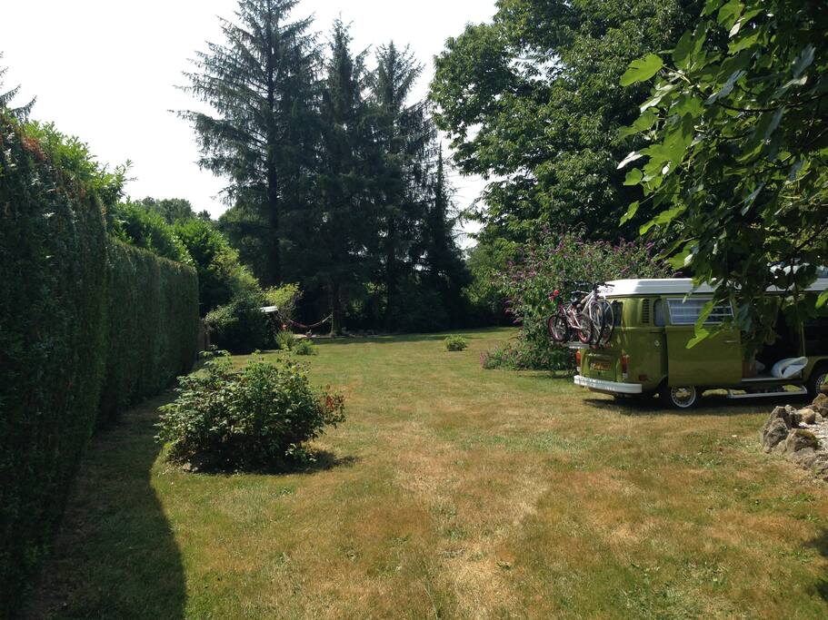 The garden