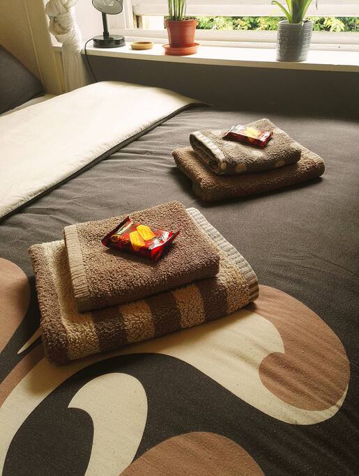 Guest bedroom.