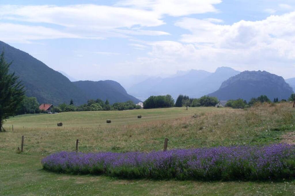 vue sud