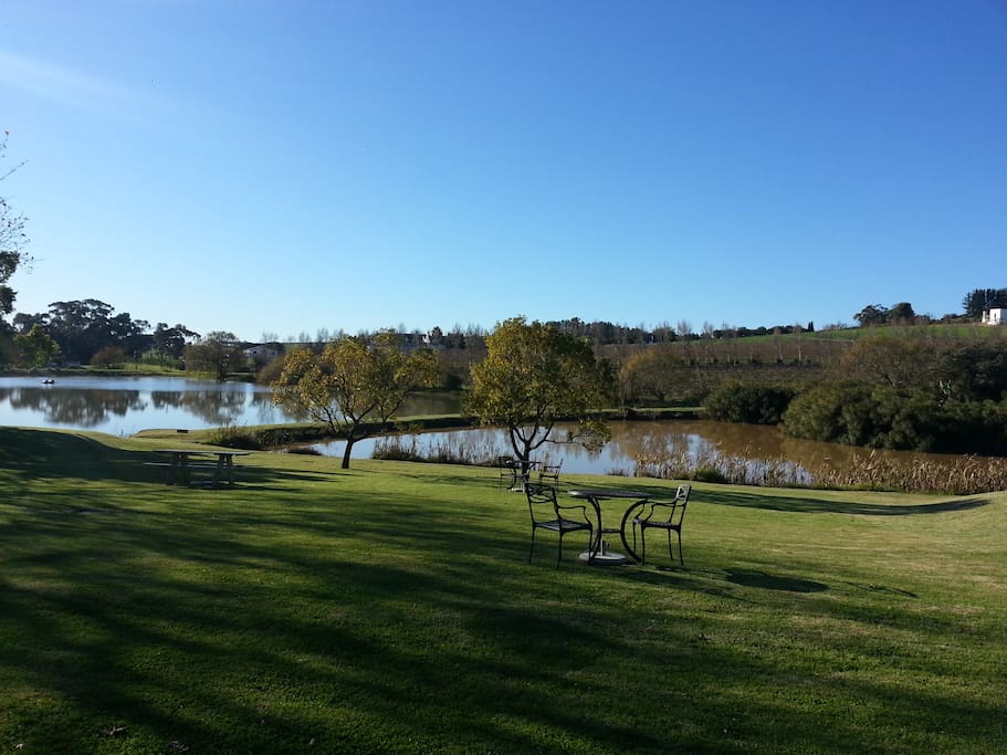 On the road to the wine farms