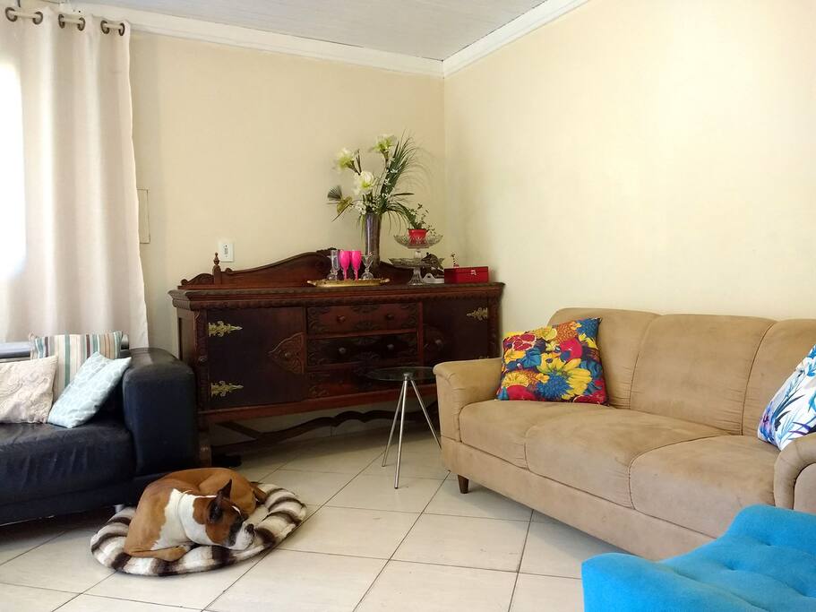 Sala compartilhada e nosso cão Trump