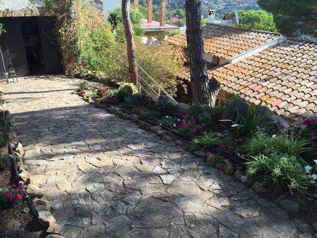 Villa Migjorn Cala Canyelles gallery image 5