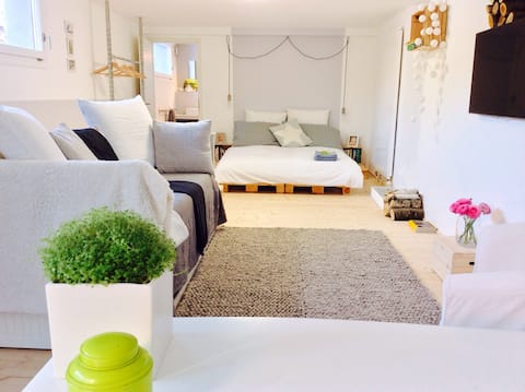 Successful Airbnb property: Calm spacious renovated unit, garden and parking in Genève