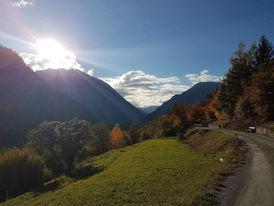 Autumn Walk: 2 minute walk from house