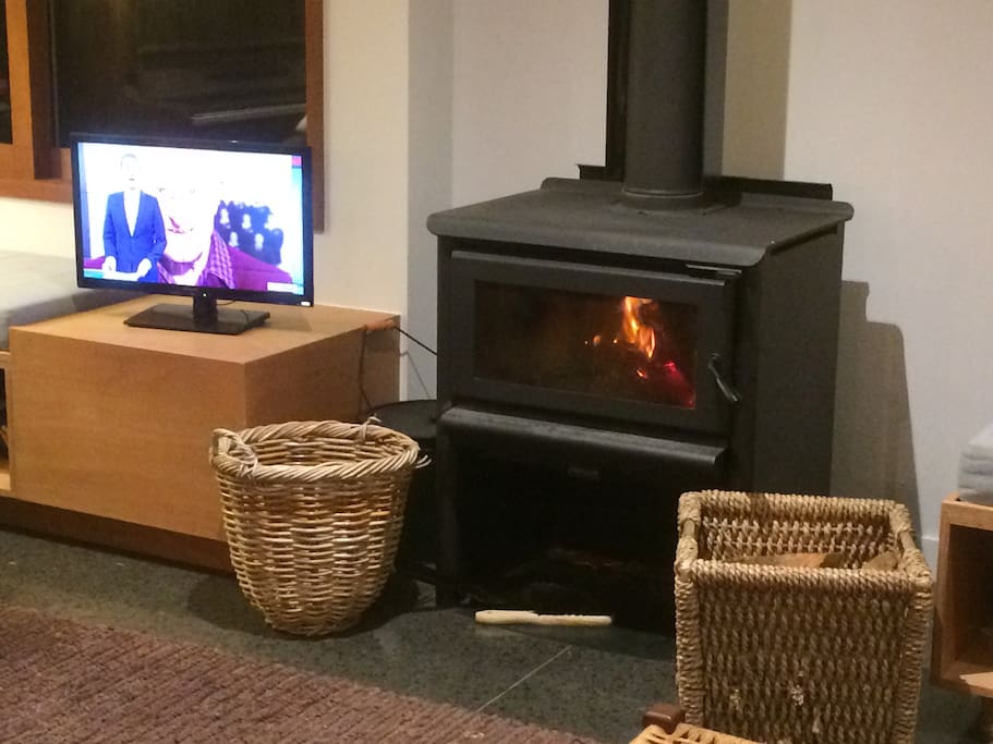 Lounge woodburner