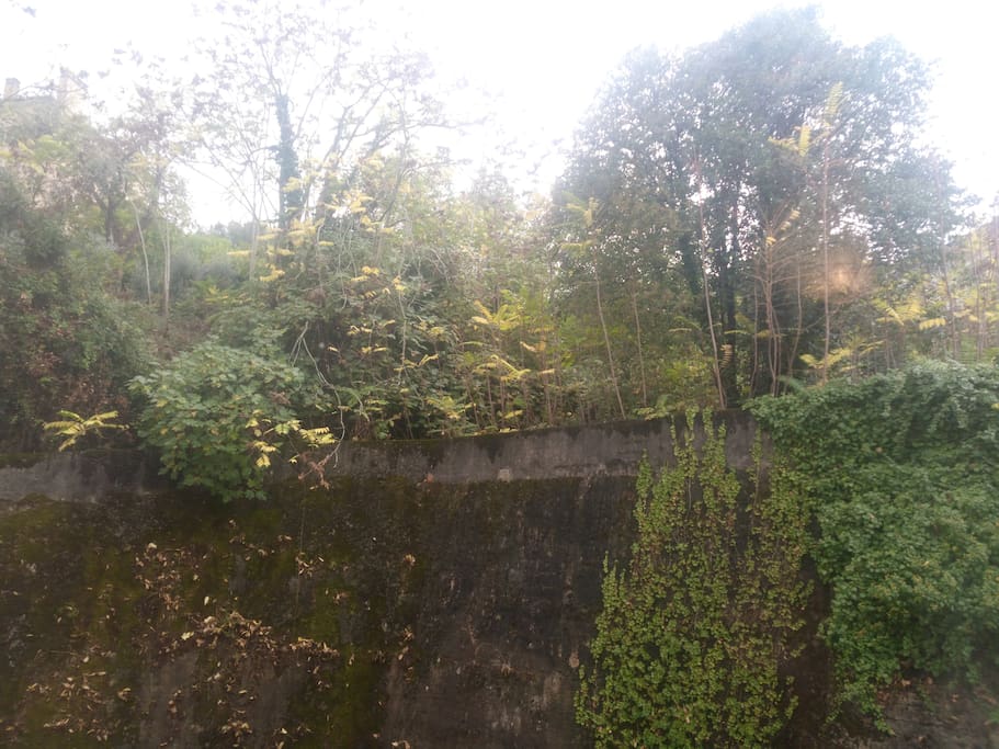 Vista da janela