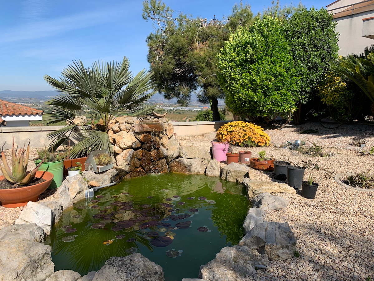 A serene garden area features a small stone pond, surrounded by lush greenery and colorful potted plants. The pond's surface reflects the sky, while a gentle waterfall adds a calming sound. In the background, views of distant hills and vineyards can be seen.