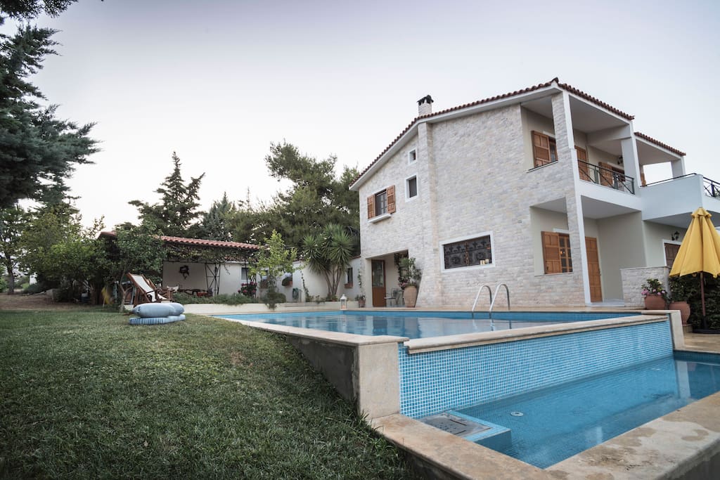 The swimming pool.
