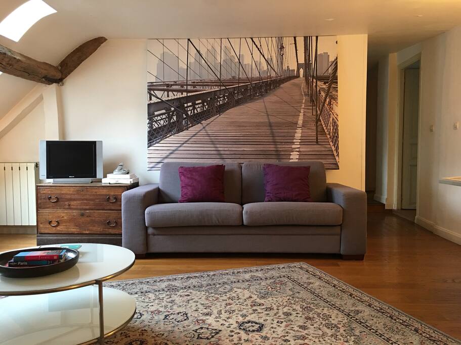 Comfy sofa, cable tv and oriental rug