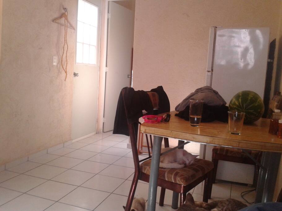 Facing rear dinner table fridge