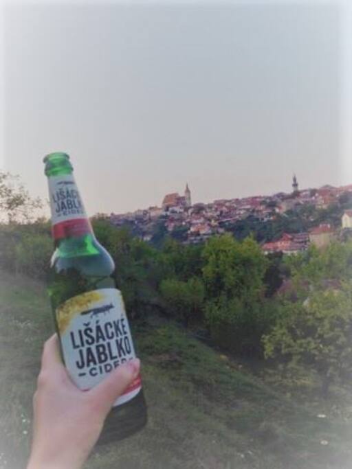 Pohled ze zahrady