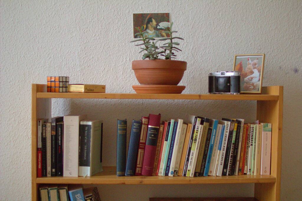your own small library! more books in the living room...