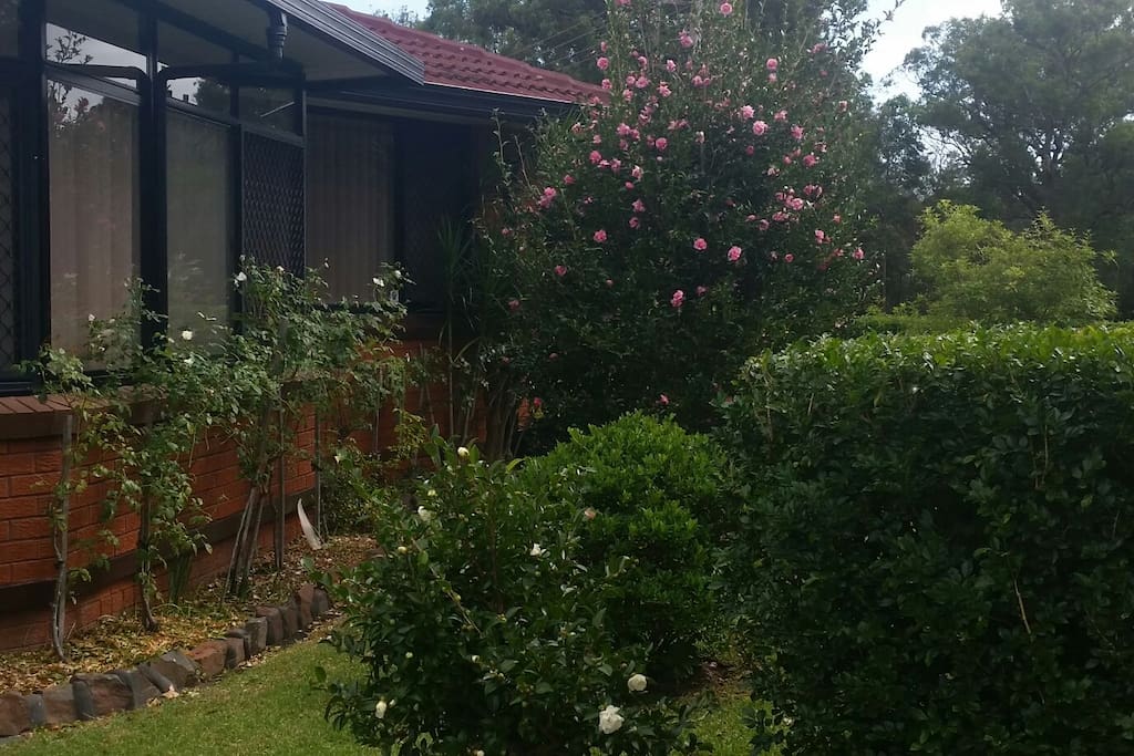 Front garden