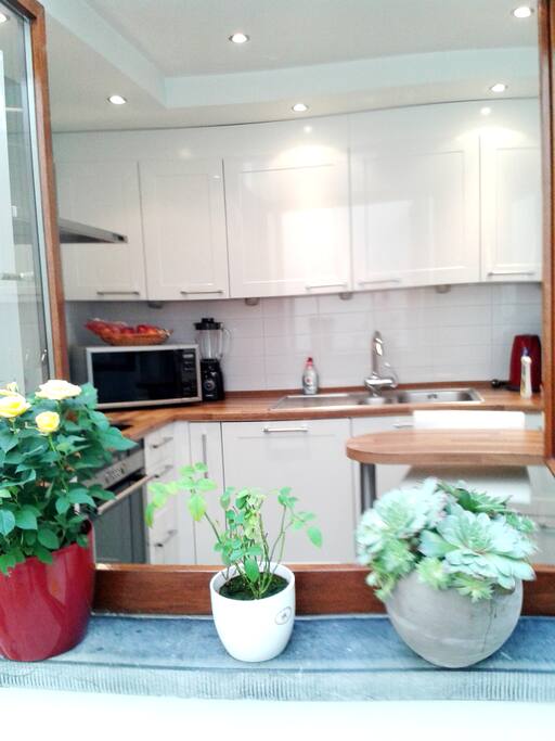 Kitchen: View from the court yard