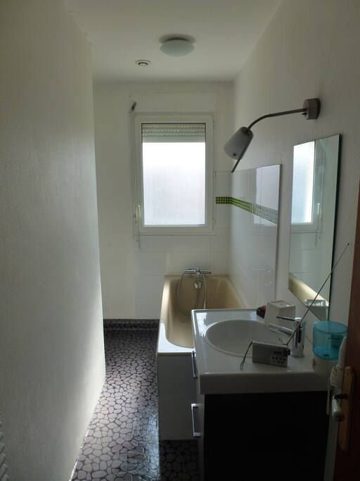 salle de bains (en face de la chambre) privative