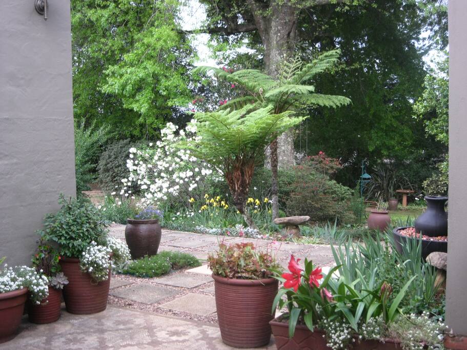 View of garden from front verandah