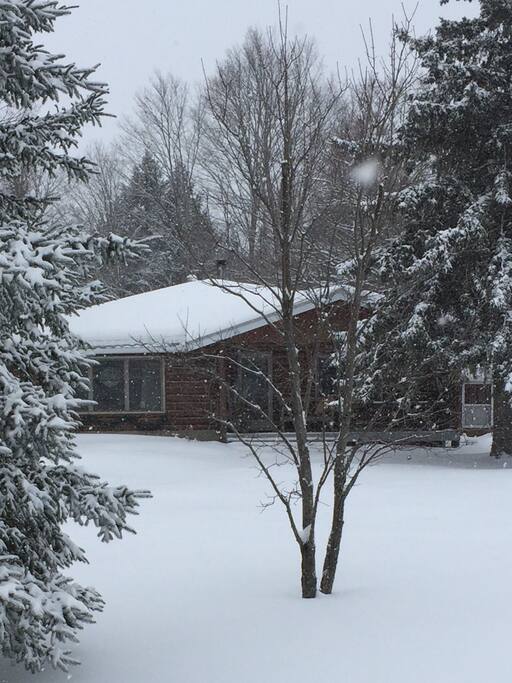 Winter Wonderland