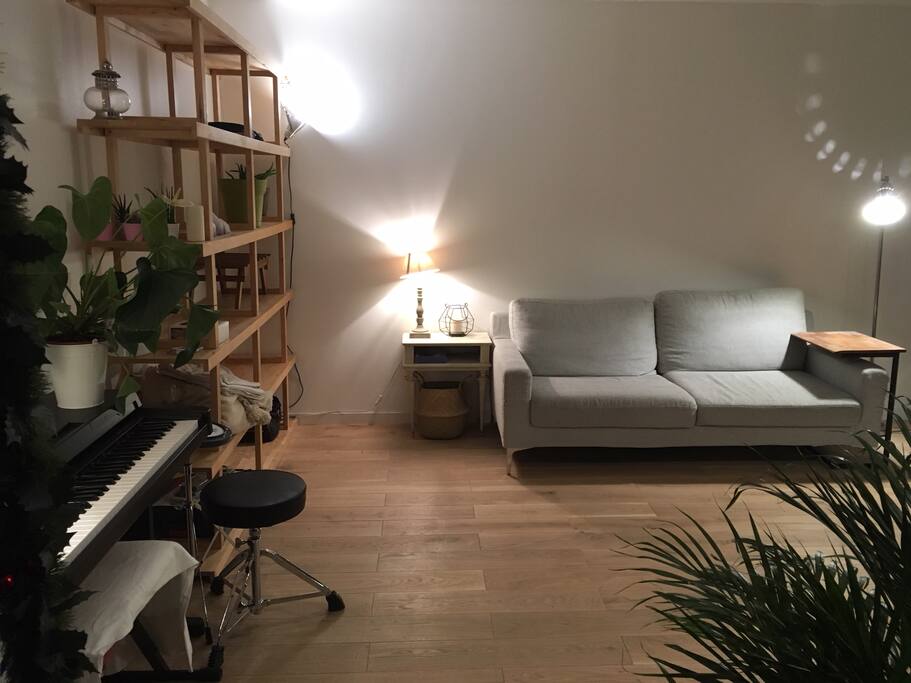 Salon gauche