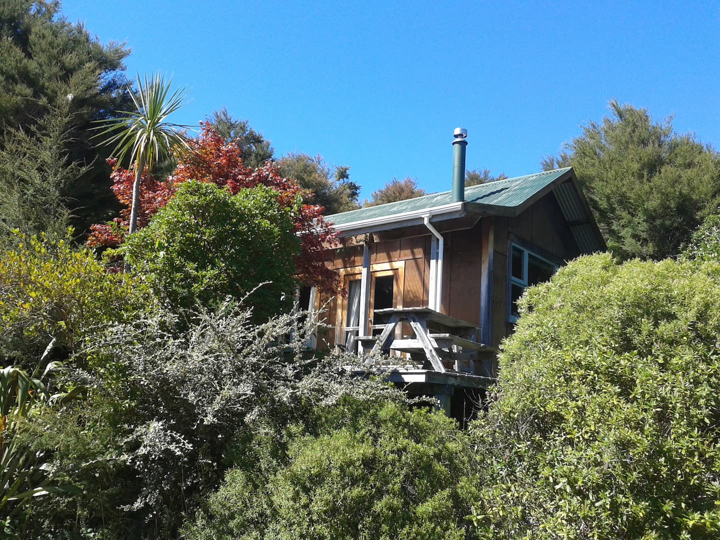 Kanuka Eco-friendly Cottage 1