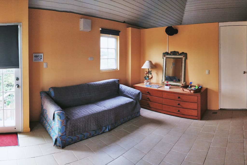 Entrance and Living room