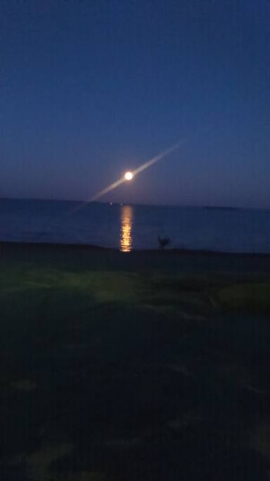 Photo taken from the backdoor of the moon. Also the view from master bedroom.