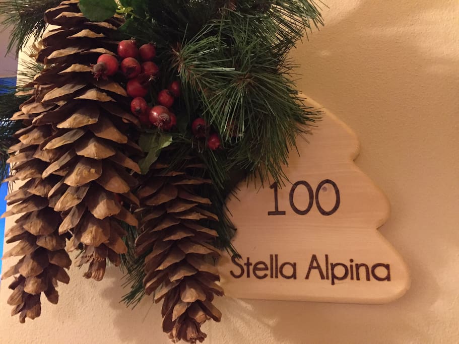 Stella Alpina Trilocale