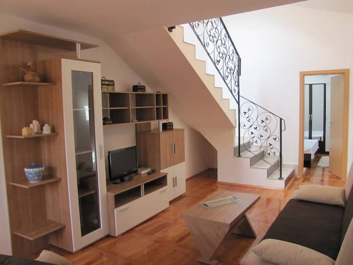 Nice holiday apartment in Novigrad