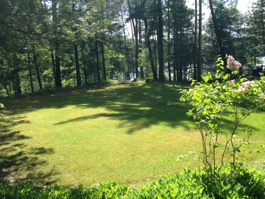 Great yard for croquet, frisbee, and fetch.