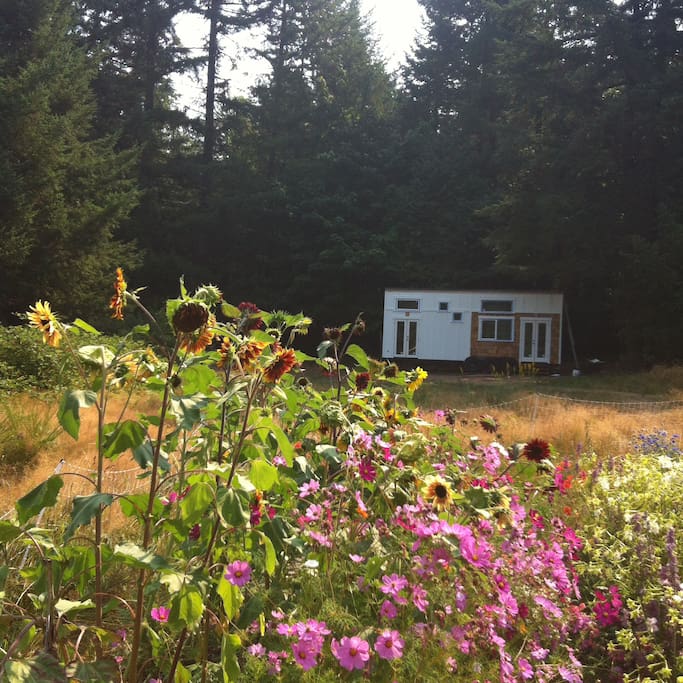 Tiny house tucked on the edge of the forest and meadow. Deck coming soon!