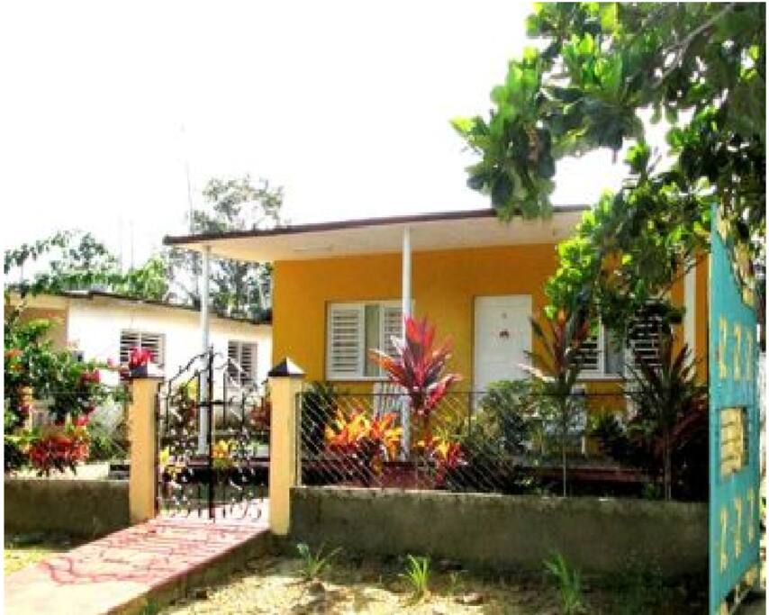 Front View 1-2