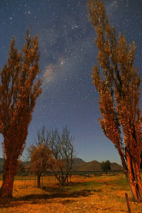 Beautiful star filled nights
