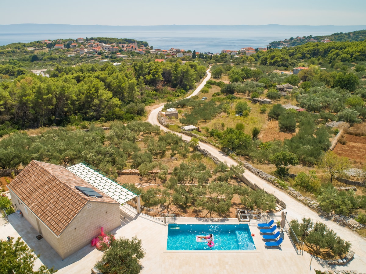 An aerial view presents the villa surrounded by lush olive groves and rolling hills, with a glimpse of the azure sea in the distance. An inviting infinity pool is framed by sun loungers and greenery, creating a serene outdoor space.